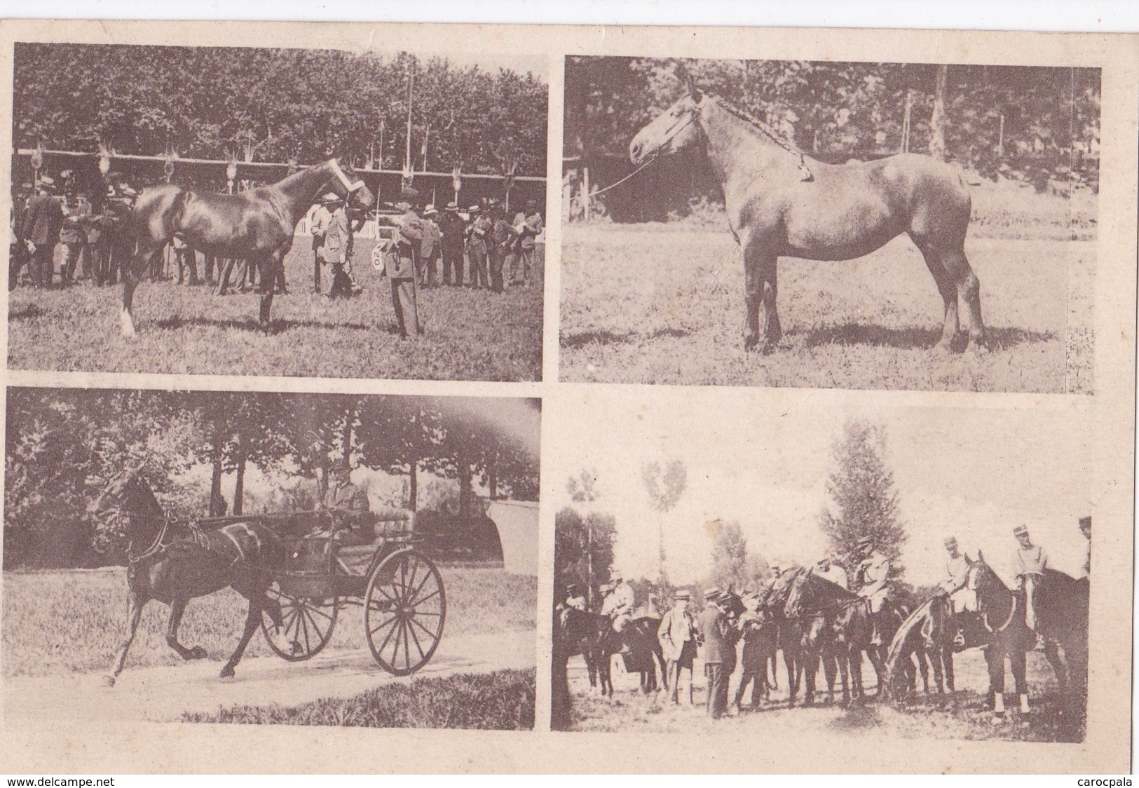 Carte 1920 MULTIVUES CHEVAUX DE COURSES / STEEPLE CHASE / COURSES D'OBSTACLES - Chevaux