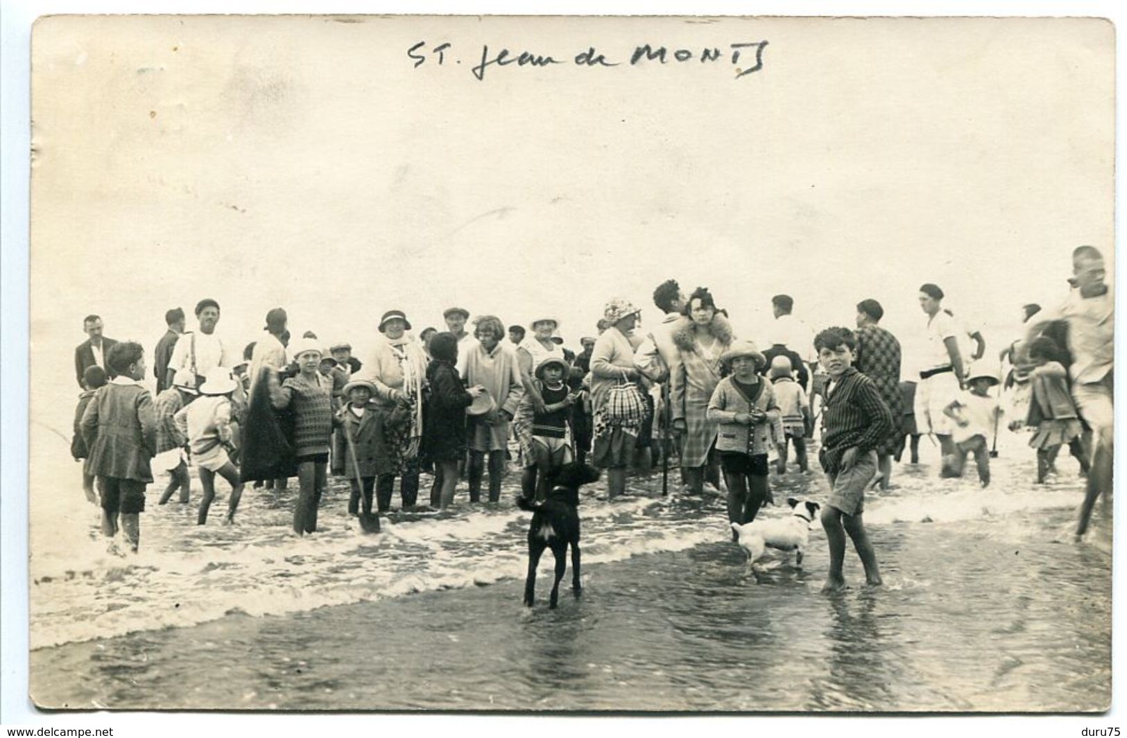 Photo Carte ST JEAN DE MONTS 1928 Ou 29 Important Groupe Sur La Plage Femmes Enfants Chiens - Ecrite Voyagé - Saint Jean De Monts