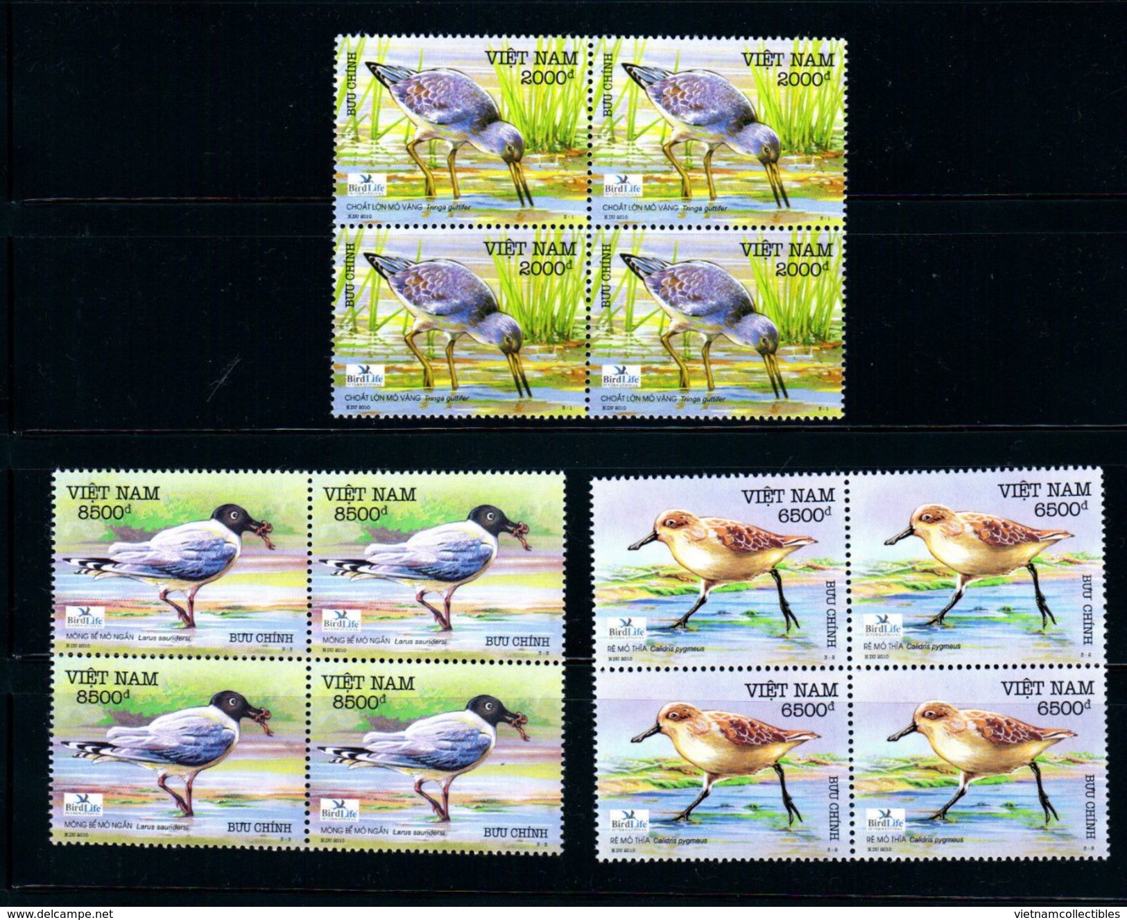 Blocks 4 Of Vietnam Viet Nam MNH Perf Withdrawn Stamps 2010 : Sea Birds / Bird (Ms992) - Vietnam