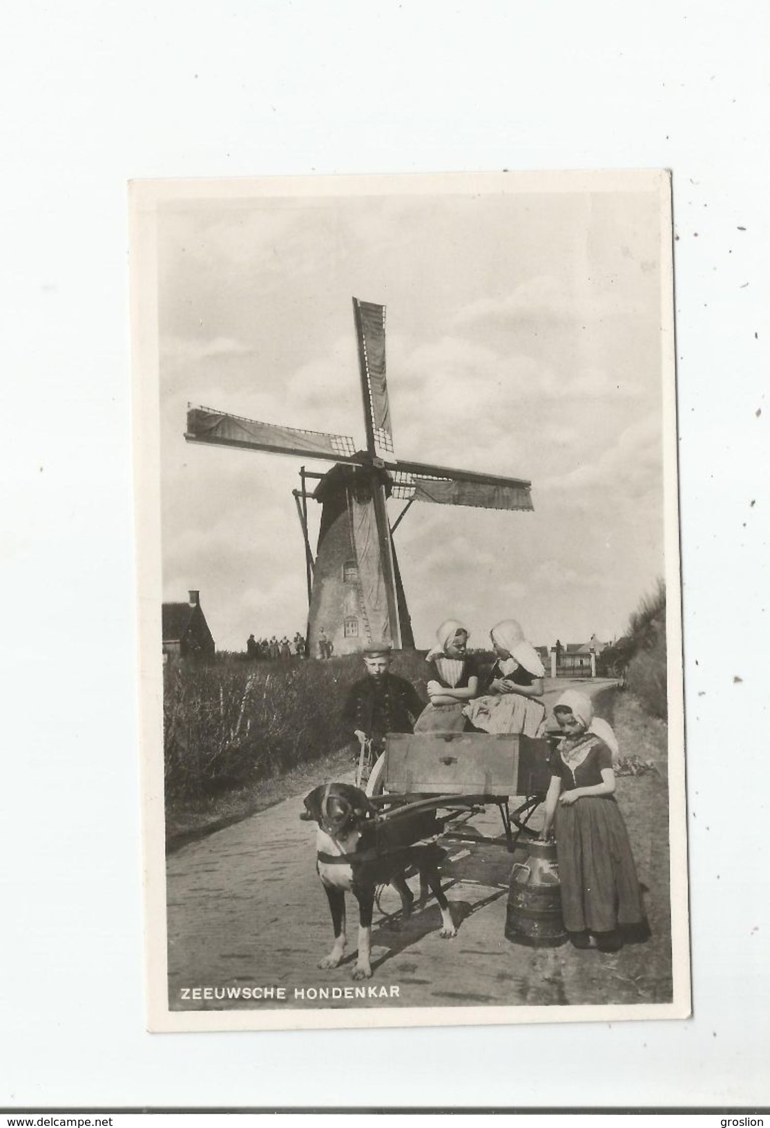 ZEEUWSCHE HONDENKAR (PAYS BAS ILES ZELANDAISES CARTE PHOTO  ATTELAGE DE CHIEN) 20 - Zoutelande