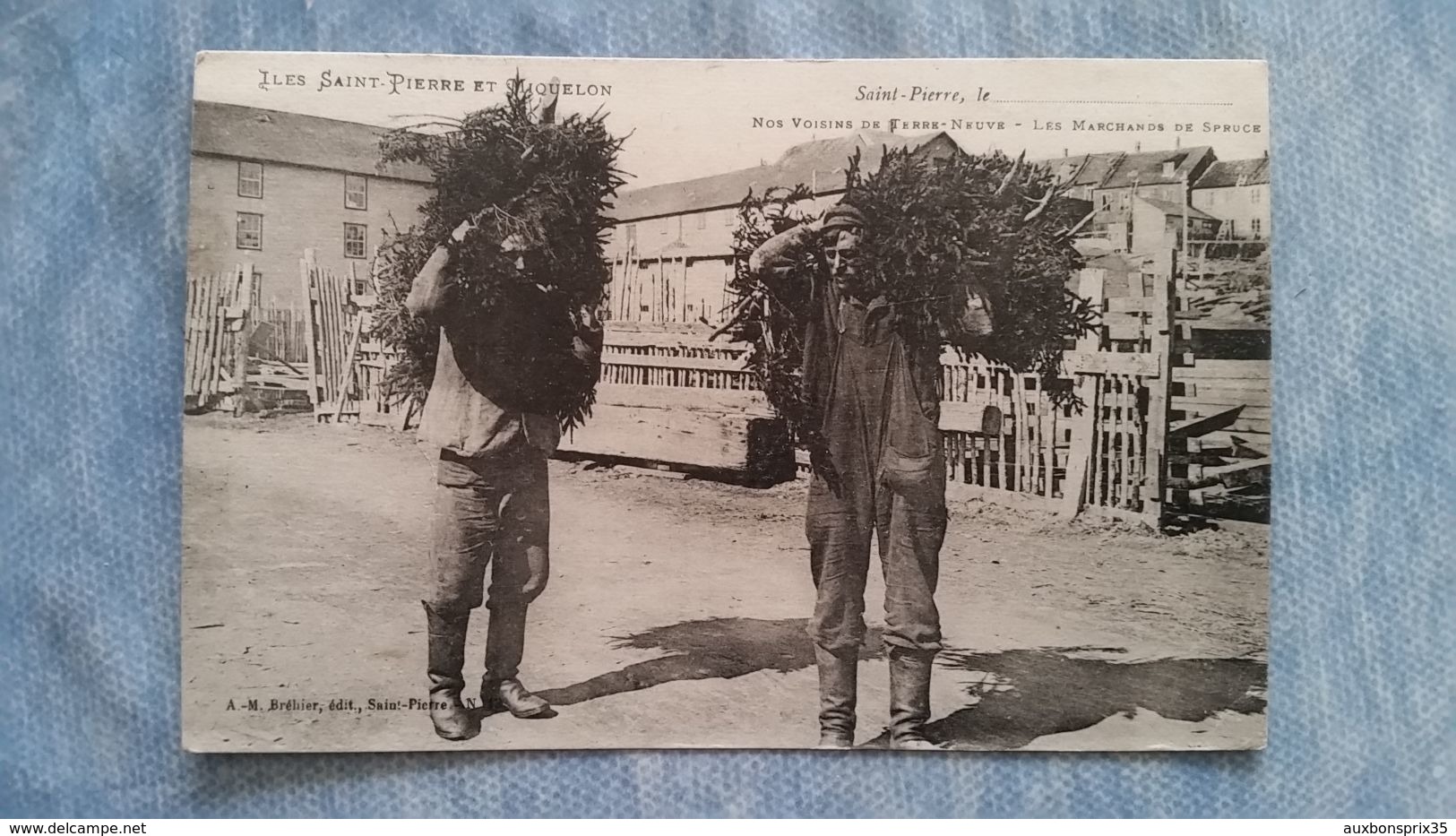 SAINT PIERRE ET MIQUELON - NOS VOISINS DE TERRE NEUVE - LES MARCHANDS DE SPRUCE - Saint-Pierre E Miquelon