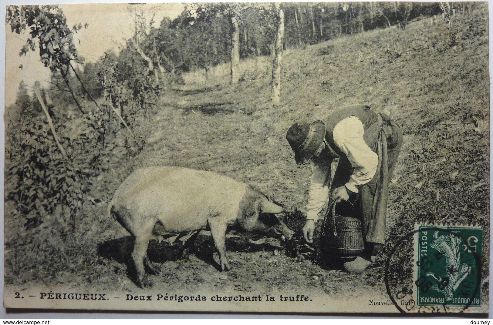 DEUX PÉRIGORDS CHERCHANT LA TRUFFE - PÉRIGUEUX - Périgueux