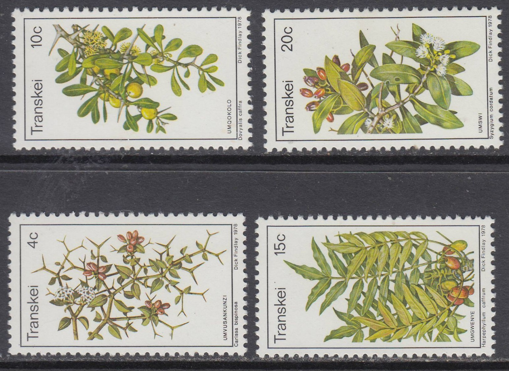 D90819 Transkei South Africa 1978 EDIBLE WILD FRUIT BERRIES MNH Set - Afrique Du Sud Afrika RSA Sudafrika - Transkei