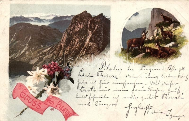 * T2/T3 1898 Mount Pilatus, Gruss Vom Pilatus, Floral - Unclassified