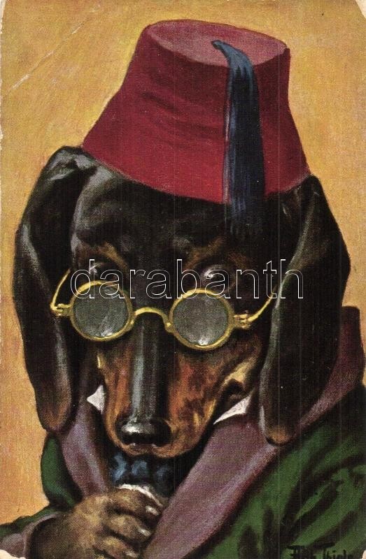 ** T3 Dog With Glasses. T.S.N. Serie 806. S: Arthur Thiele (EB) - Sin Clasificación
