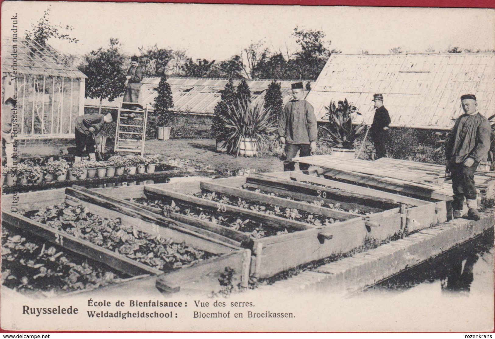 Ruysselede Ruiselede Weldadigheidschool Bloemhof En Broeikassen Geanimeerd ZELDZAAM (zeer Goede Staat) - Ruiselede