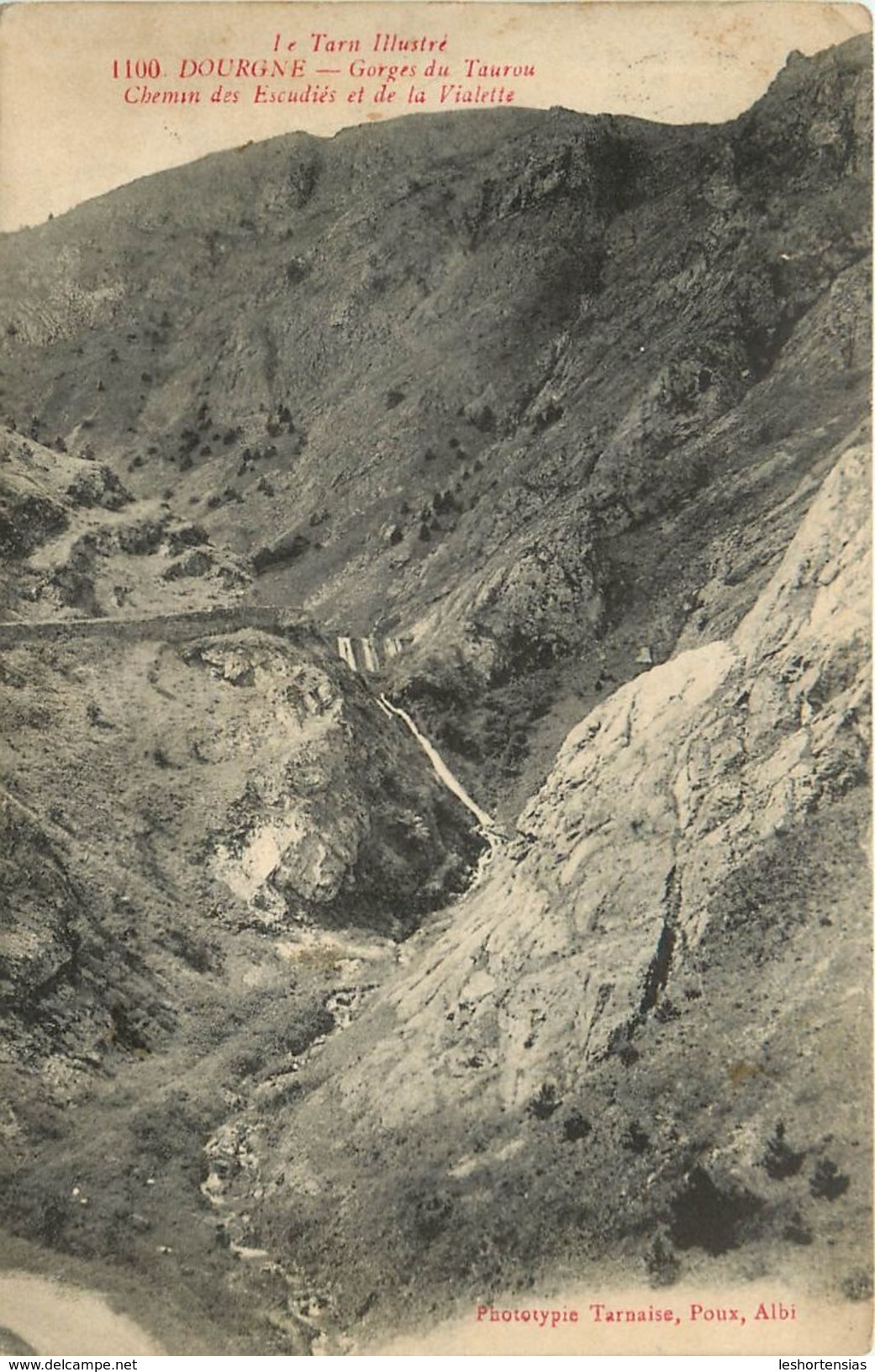 DOURGNE GORGES DU TAUROU  CHEMIN DES ESCUDIES ET DE LA VIALETTE - Dourgne