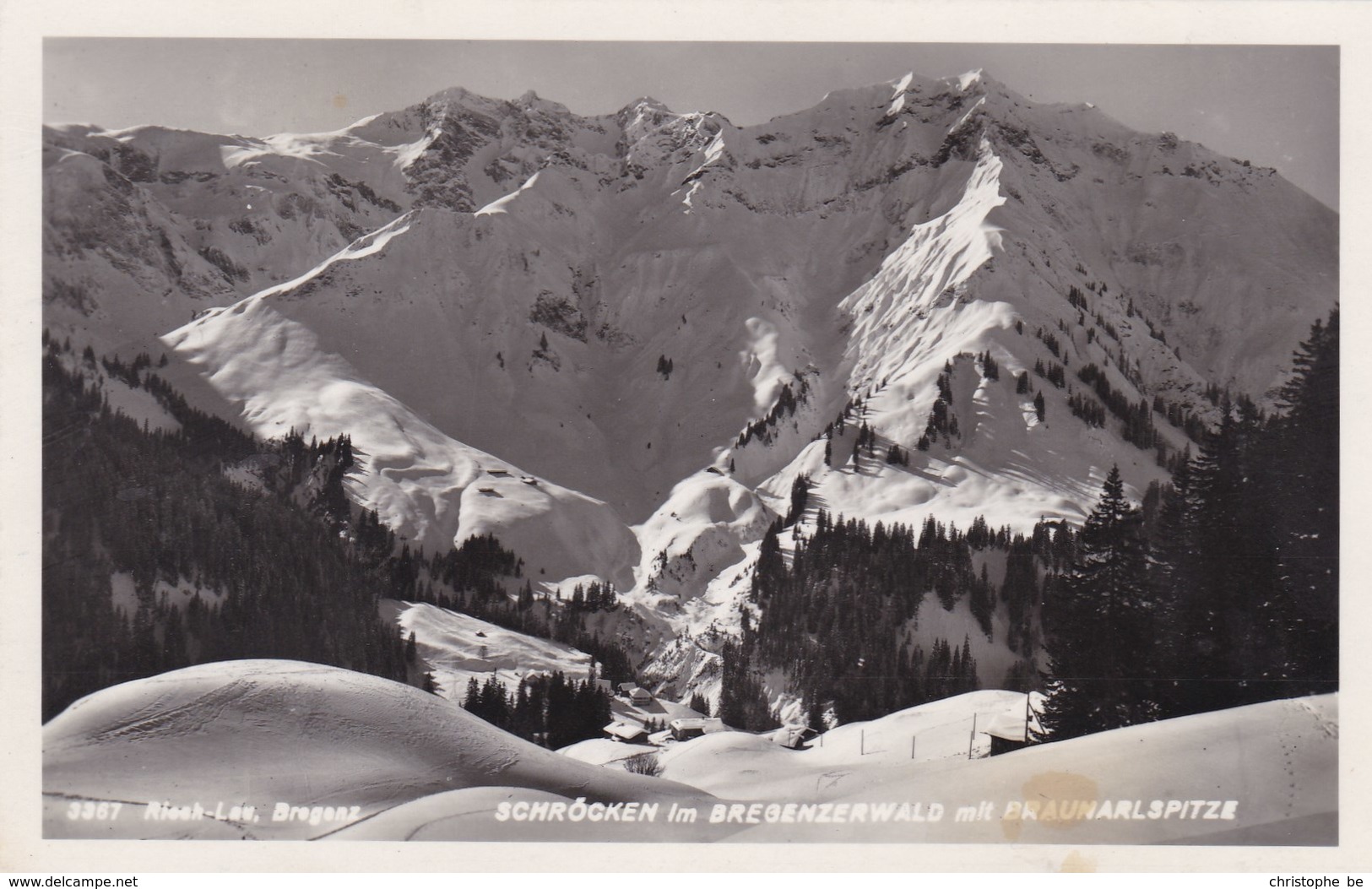 Schröcken Im Bregenzerwald Mit Braunarlspitze,  (pk40847) - Wald