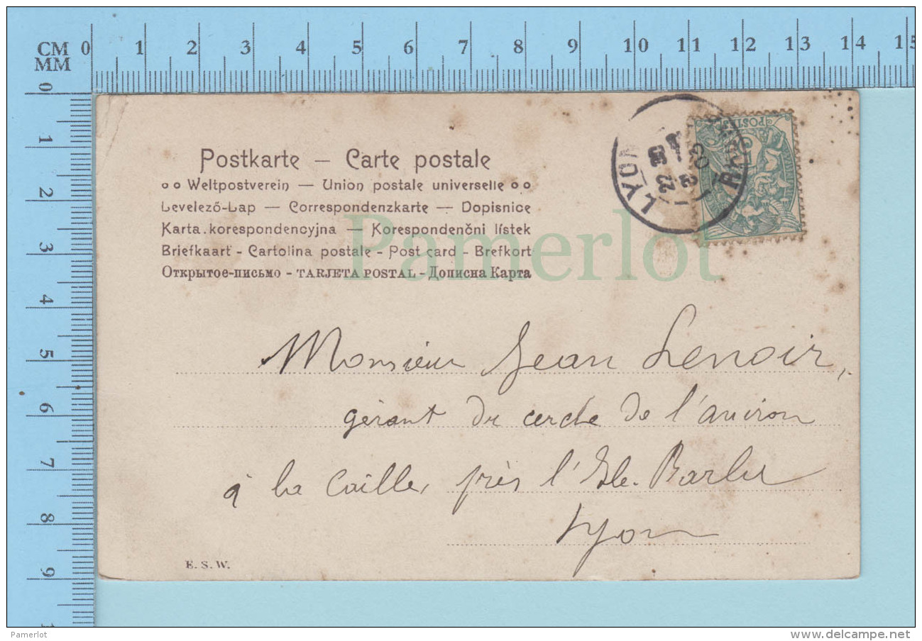 PC Chien De Chasse - Cover Lyon 1903 Rhone + Stamp, Timbre - Hunde