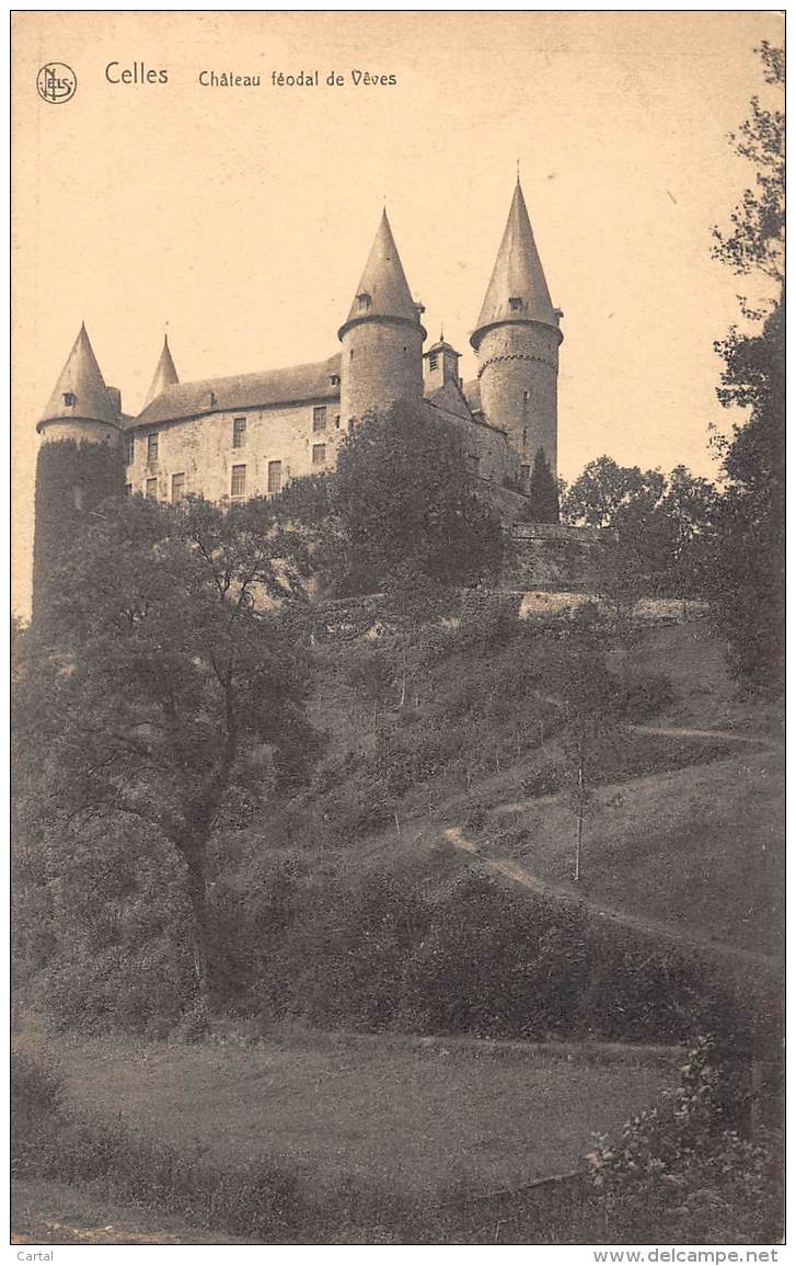 CELLES - Château Féodal De Vêves - Houyet