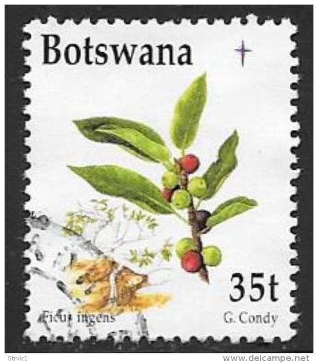 Botswana, Scott # 669 Used Berries, Christmas, 1998 - Botswana (1966-...)