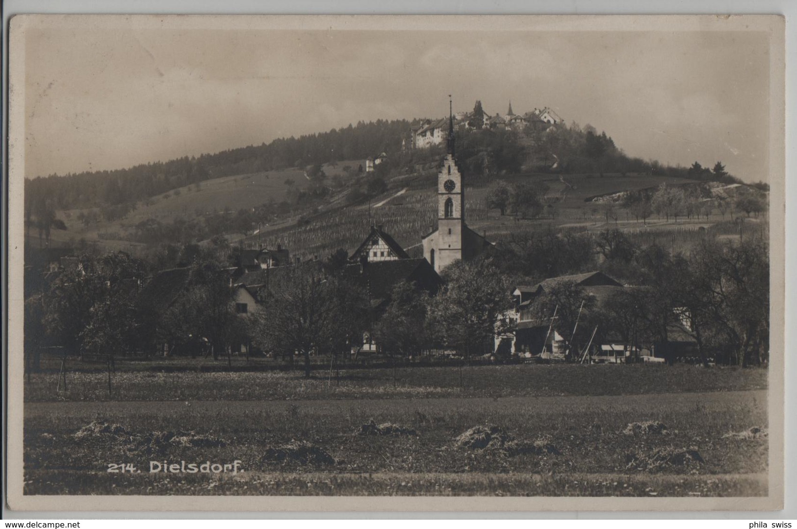 Dielsdorf - Generalansicht - Dielsdorf