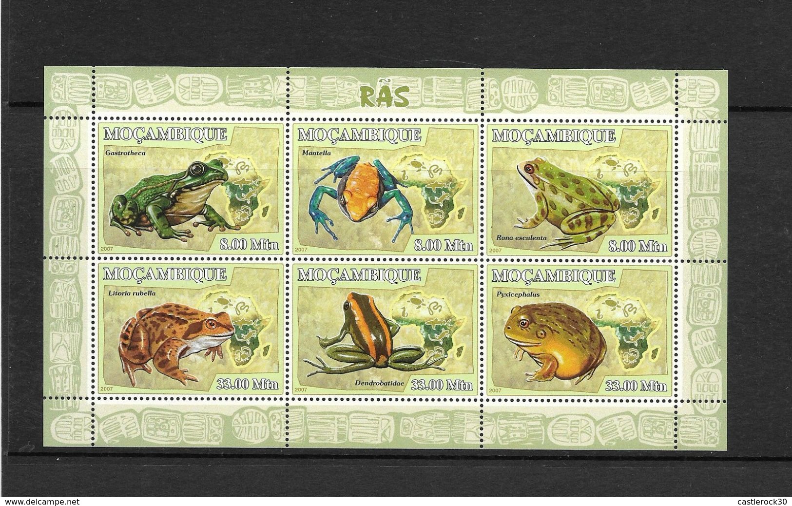 O) 2007 MOZAMBIQUE- FROGS AMPHIBIANS, GASTROTHECAR-MANTELLA-ESCULENTA-LITORIA-DENDROBATIDAE-PYXICEPHALUS, MINI SHEET MNH - Mozambique