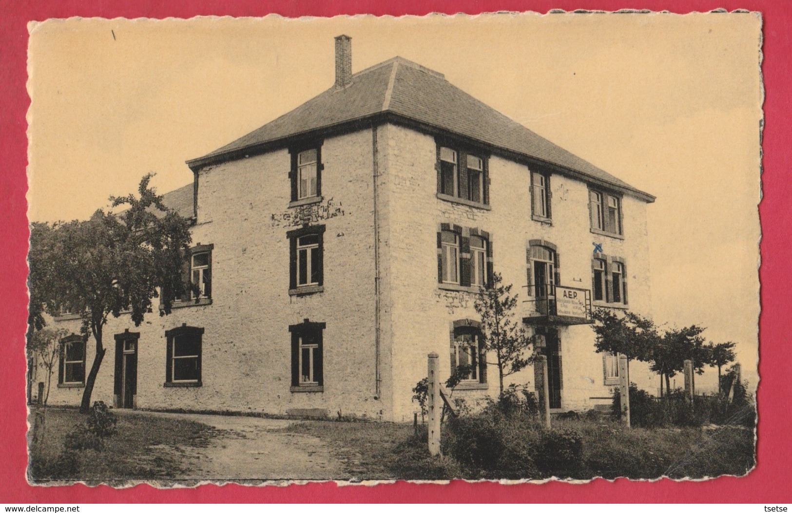 Champlon-Ardennes - Centre De Vacances A.E.P. -1954 ( Voir Verso ) - Tenneville