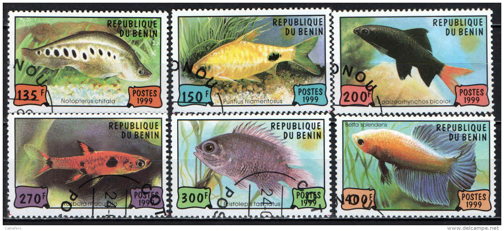 BENIN - 1999 - PESCI - FISHES - USATI - Benin – Dahomey (1960-...)