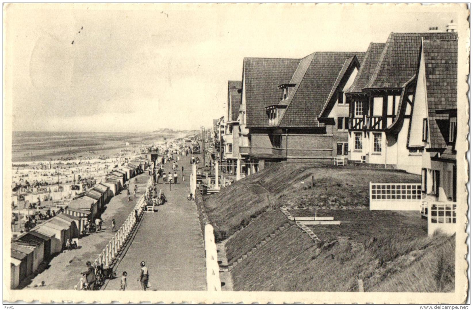 BELGIQUE - FLANDRE OCCIDENTALE - DE HAAN A/ZEE - COQ S/MER - La Plage - Strand. - De Haan