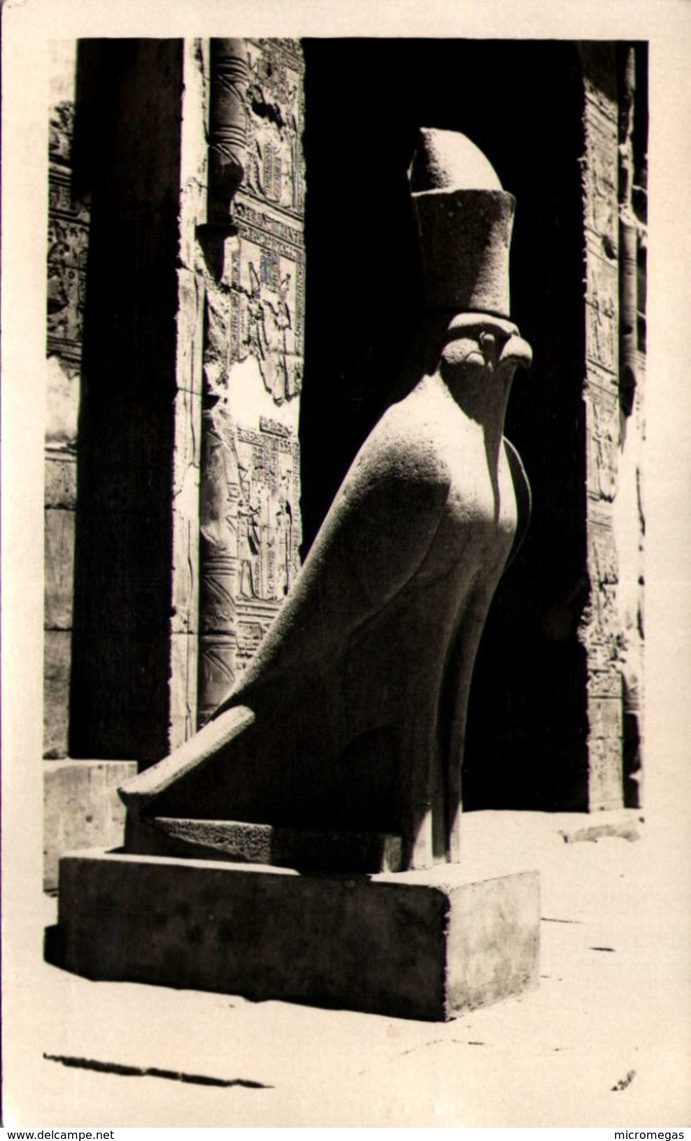 EDFU - The Sacred Hawk - Edfou