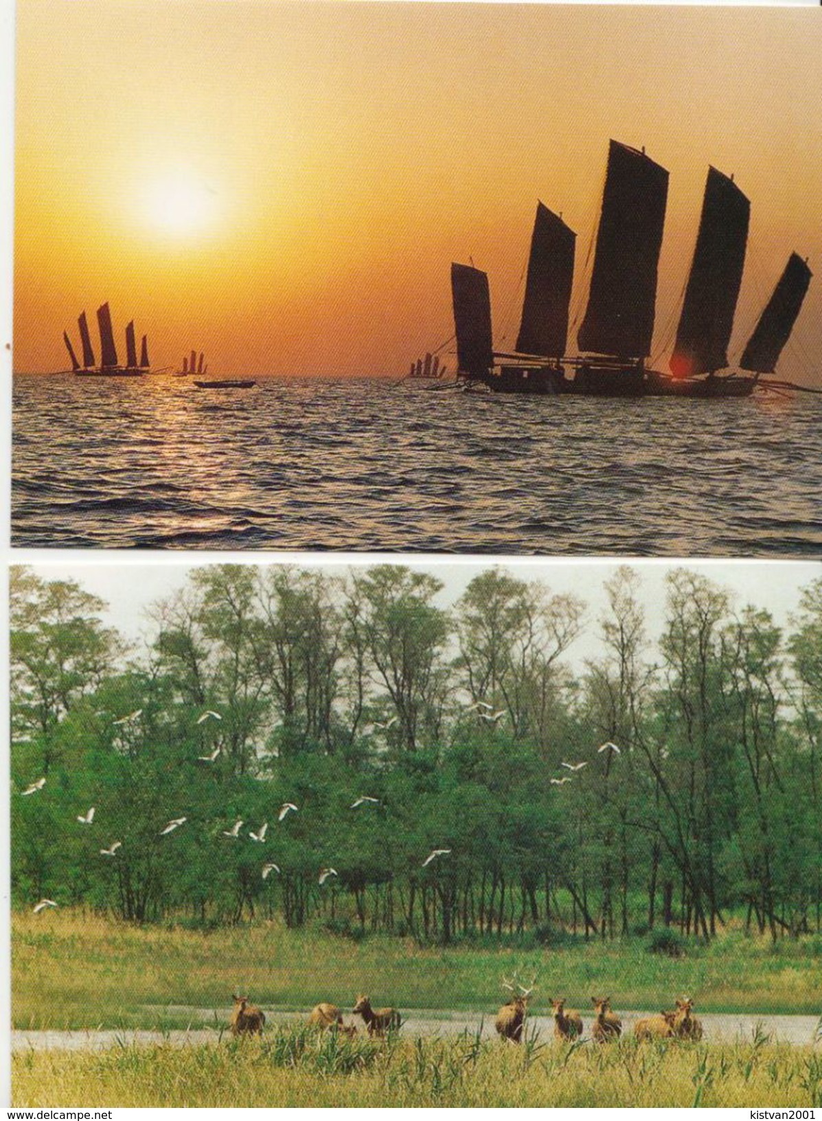 China Set Of 10 Postal Stationery PPCs - Postcards