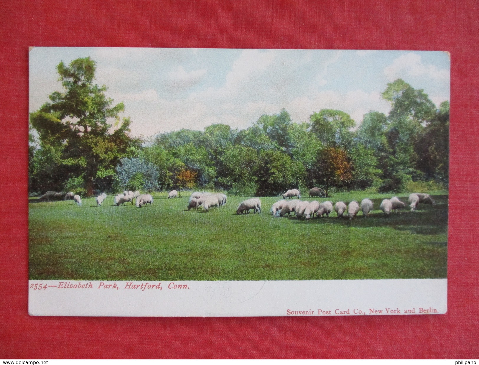 - Connecticut > Hartford --  Sheep On Lawn Elizabeth Park   Ref 2757 - Hartford