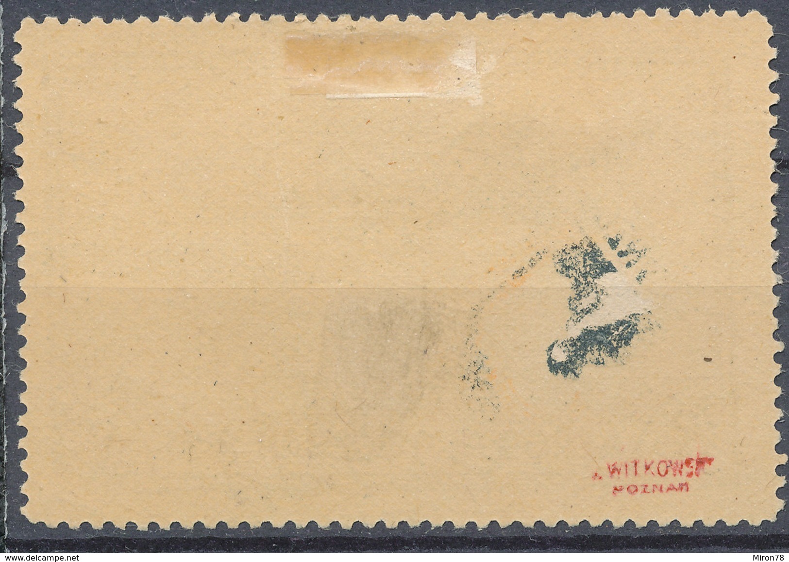 Stamp  POLAND POZNAN 1921 AIR MAIL - Nuovi