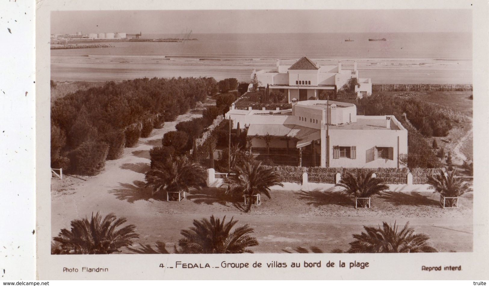 FEDALA GROUPE DE VILLAS AU BORD DE LA PLAGE  CARTE PHOTO - Autres & Non Classés