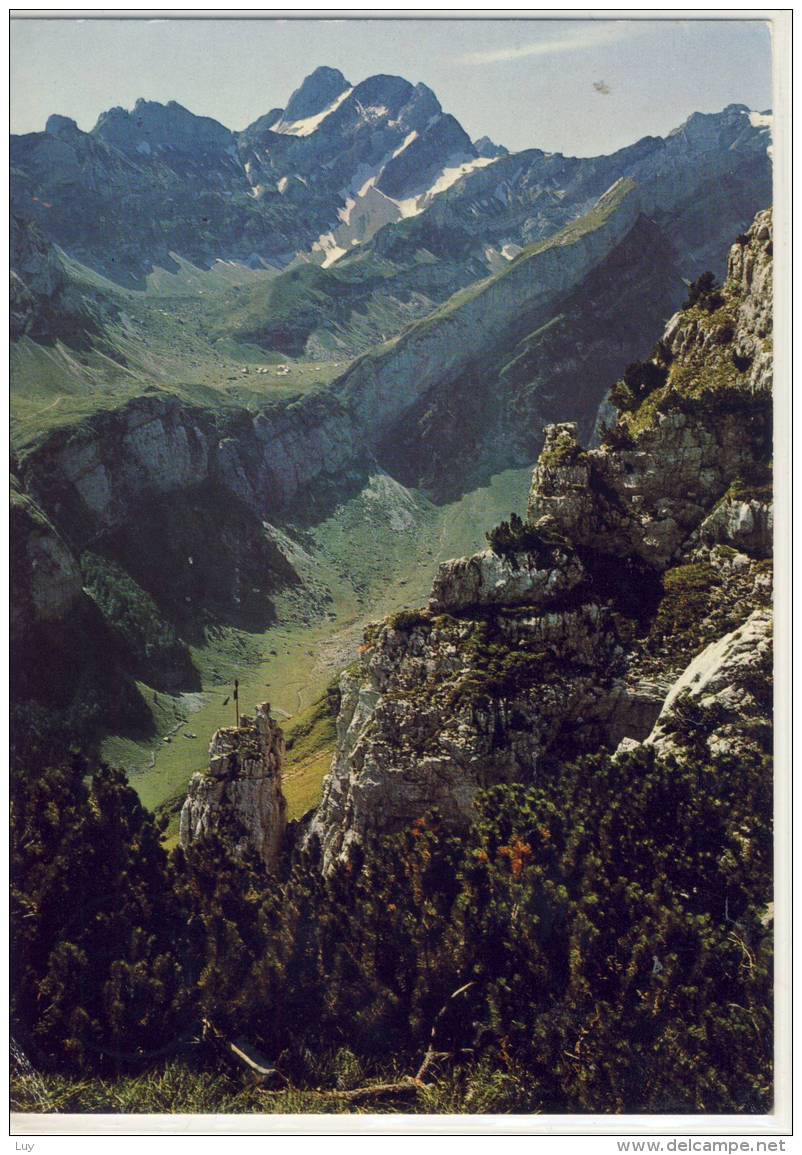 APPENZELL EBENALP BLICK GEGEN MEGLISALP UND ALTMANN GEL. IN WEISSBAD - Weissbad 