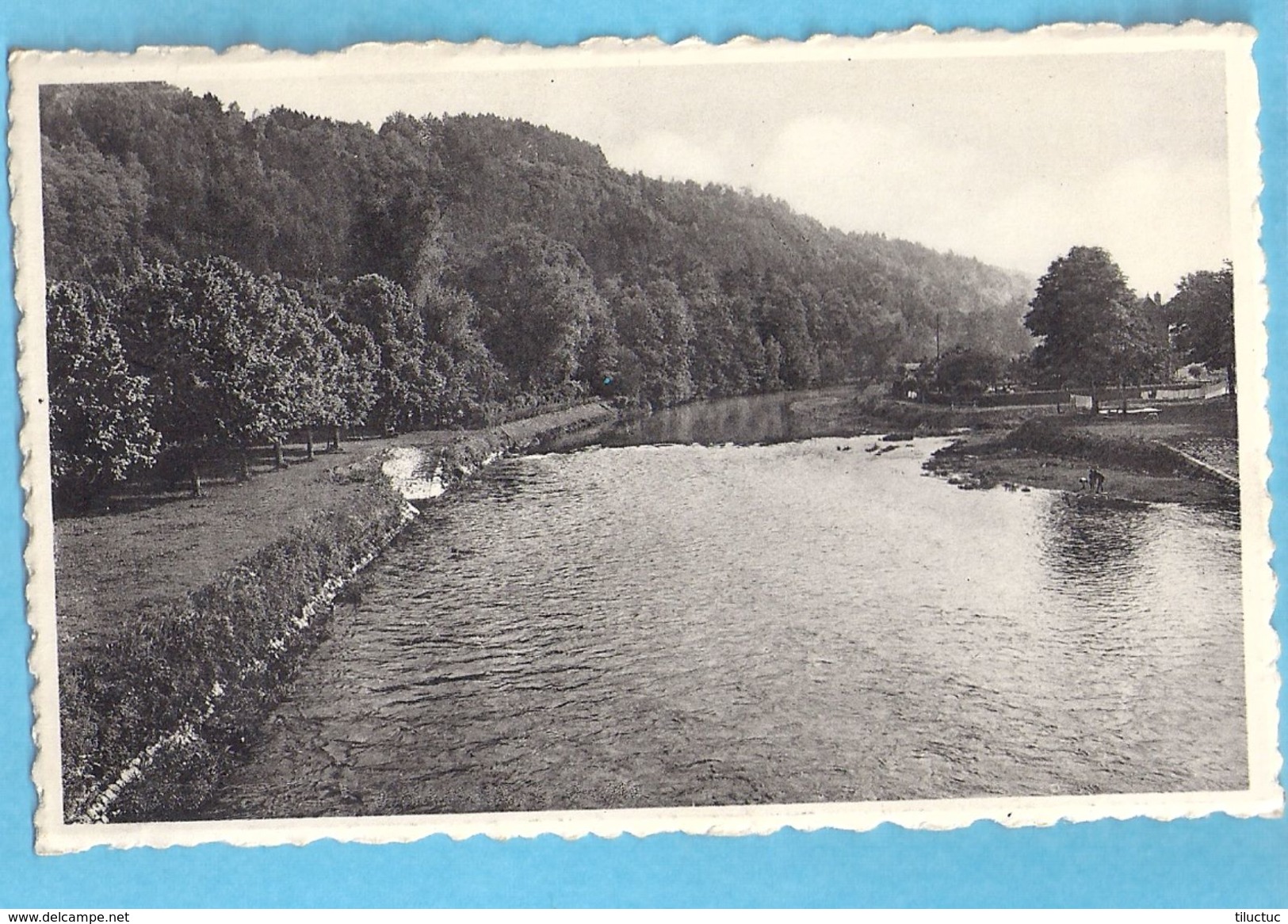 HAMOIR L'ourthe ,edit Mosa 963, Carte Vierge - Hamoir