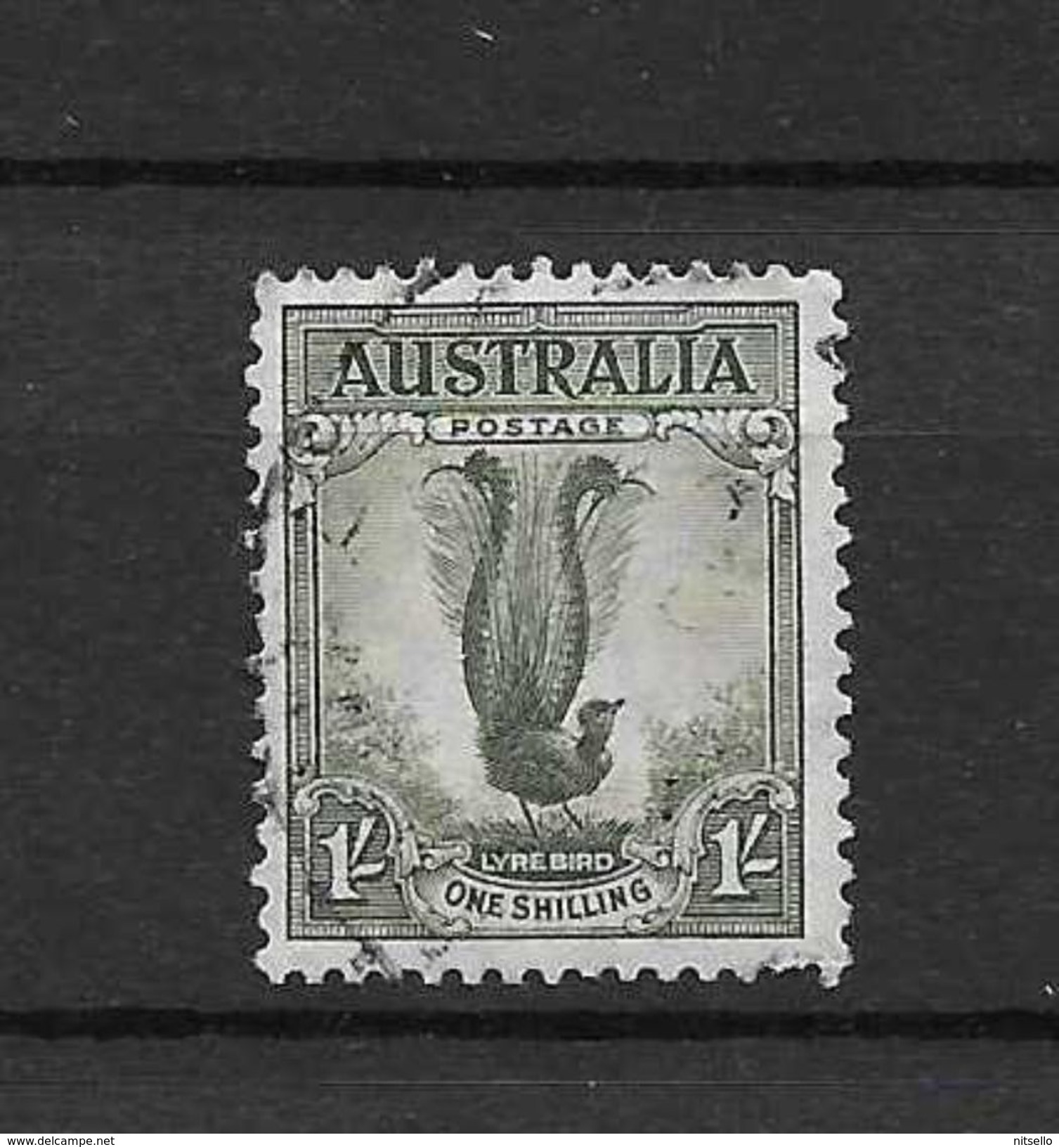 LOTE 1527 /// (C006) AUSTRALIA - Used Stamps