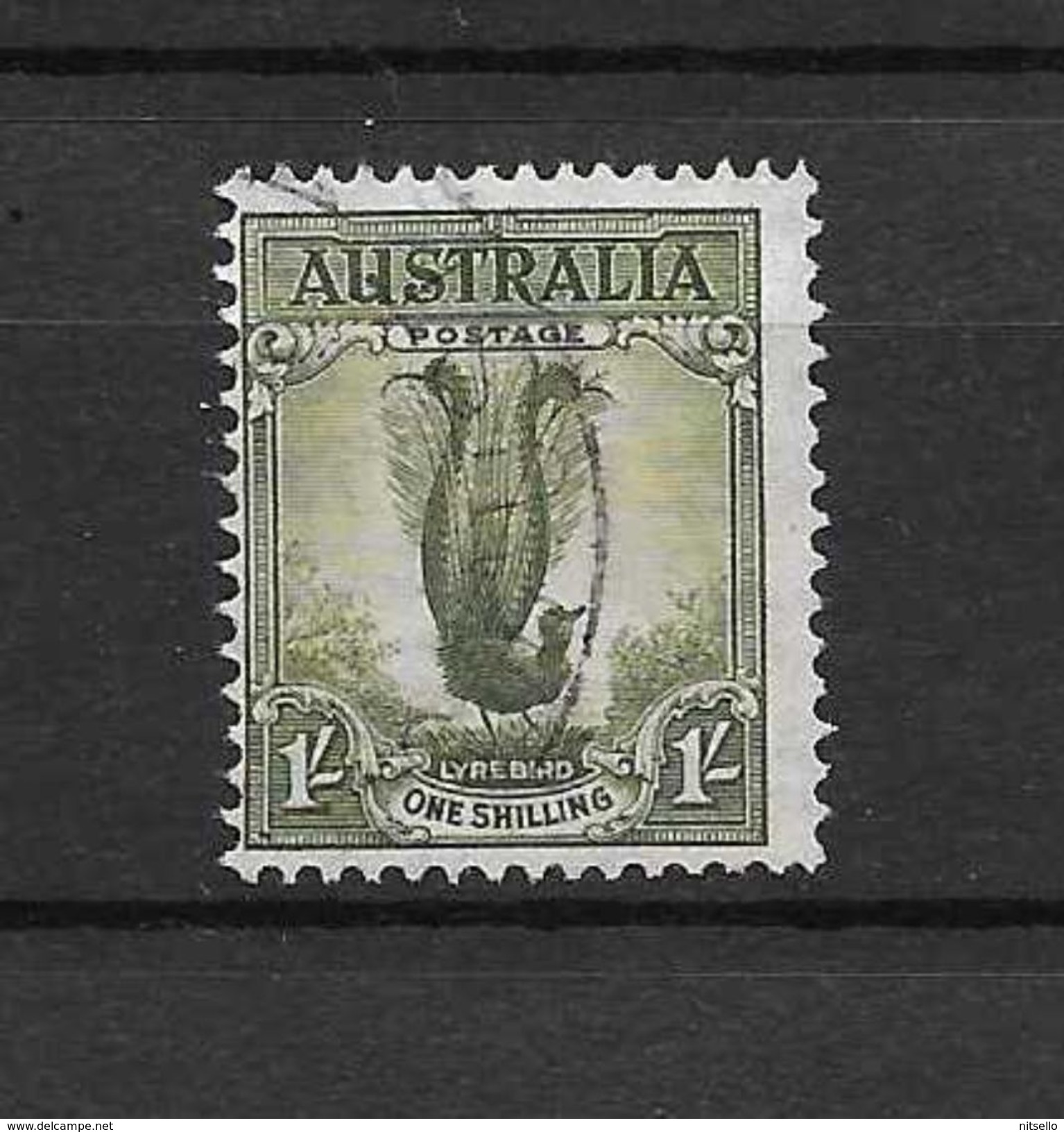 LOTE 1527 /// (C006) AUSTRALIA - Used Stamps