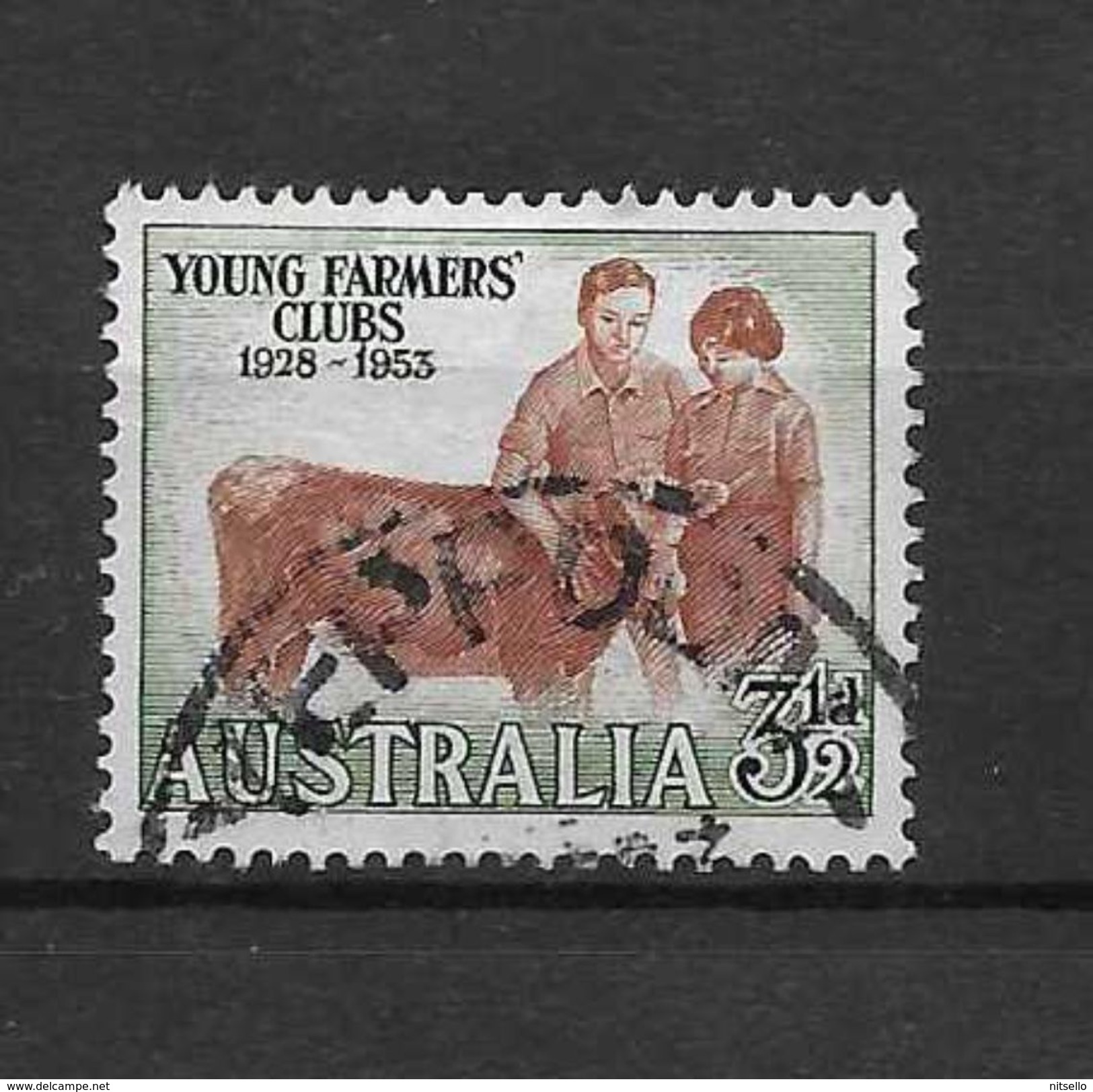 LOTE 1527 /// (C006) AUSTRALIA - Used Stamps