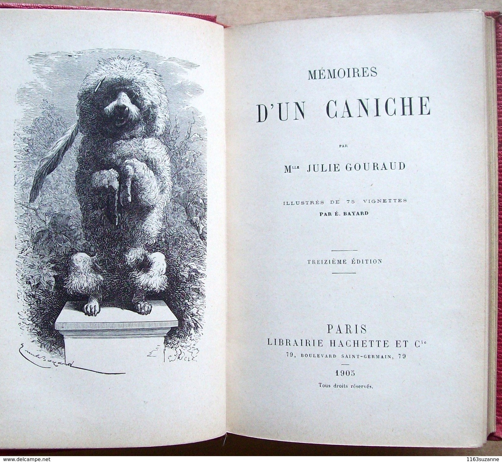 Hachette, 1905 > Mlle JULIE GOURAUD : Mémoires D'un Caniche, Illustré Par EMILE BAYARD (Bibliothèque Rose Illustrée) - 1901-1940