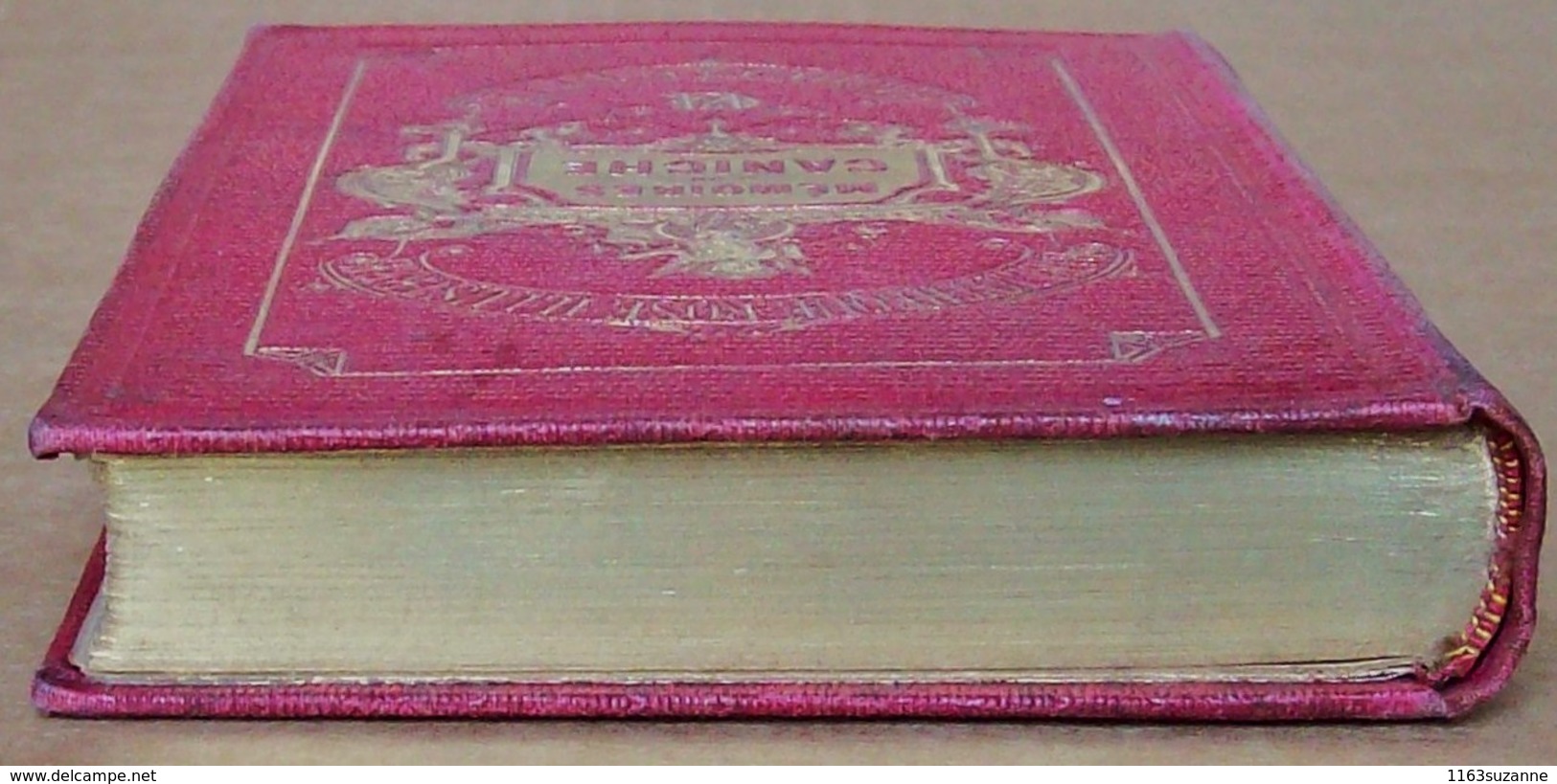 Hachette, 1905 > Mlle JULIE GOURAUD : Mémoires d'un caniche, illustré par EMILE BAYARD (Bibliothèque Rose Illustrée)