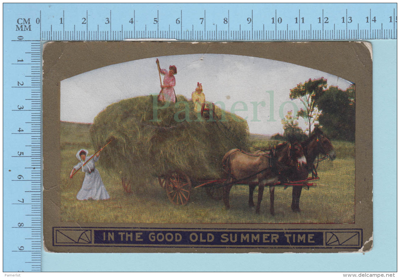 Woman Farmer Harvest, Recolte De Foin In The Good Old Summer Time - Autres & Non Classés