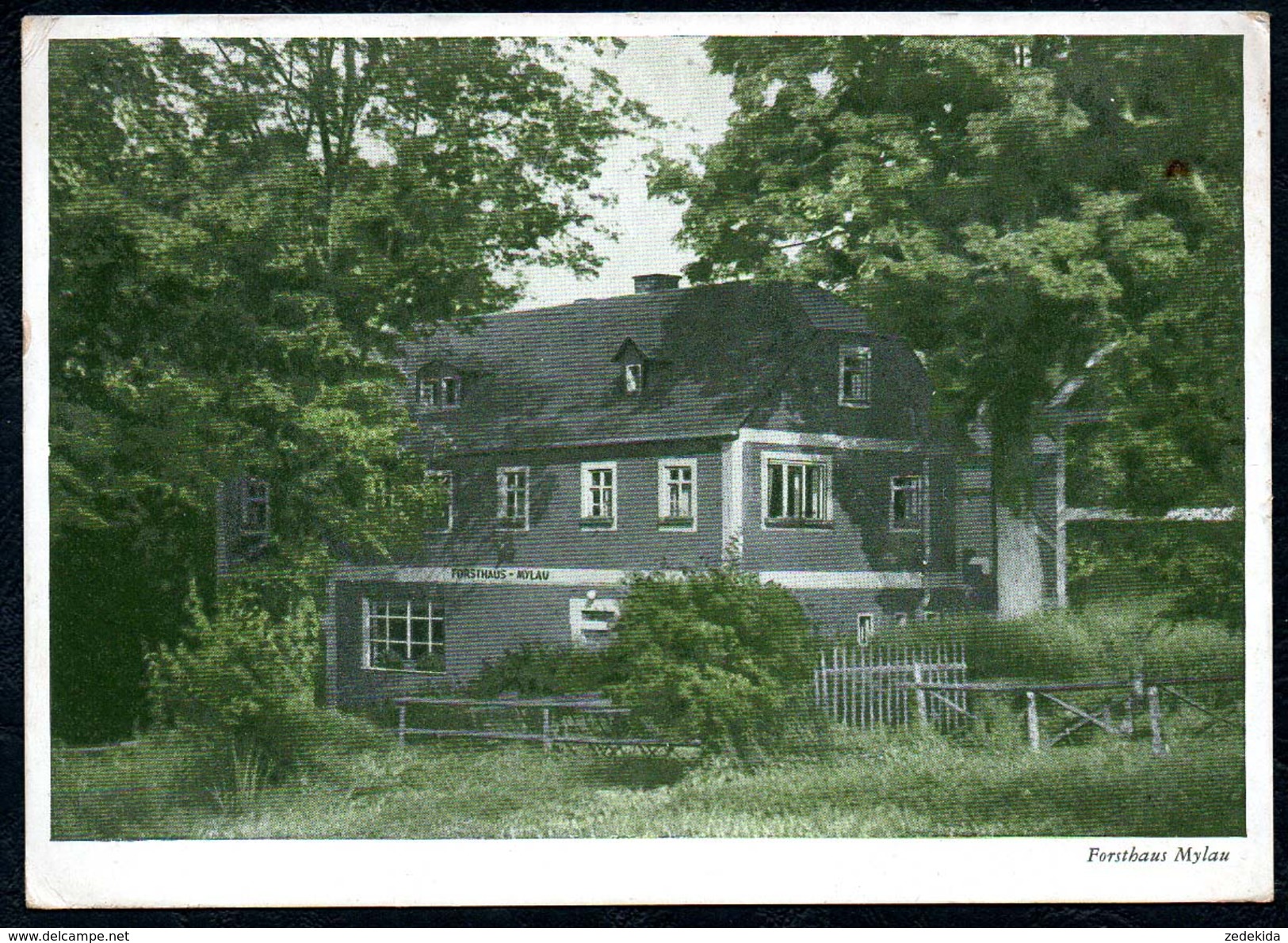 A9842 - Mylau - Forsthaus - Gaststätte Und Erholungsheim - Gel 1951 - Mylau