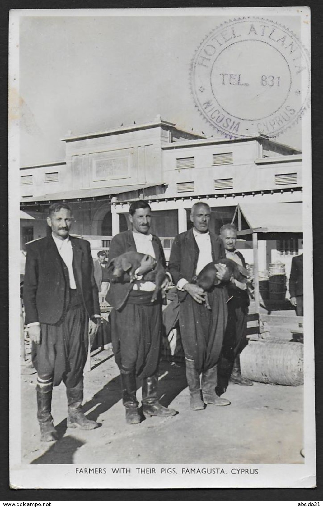 CYPRUS - Farmers With Their Pigs , Famagusta - Chypre