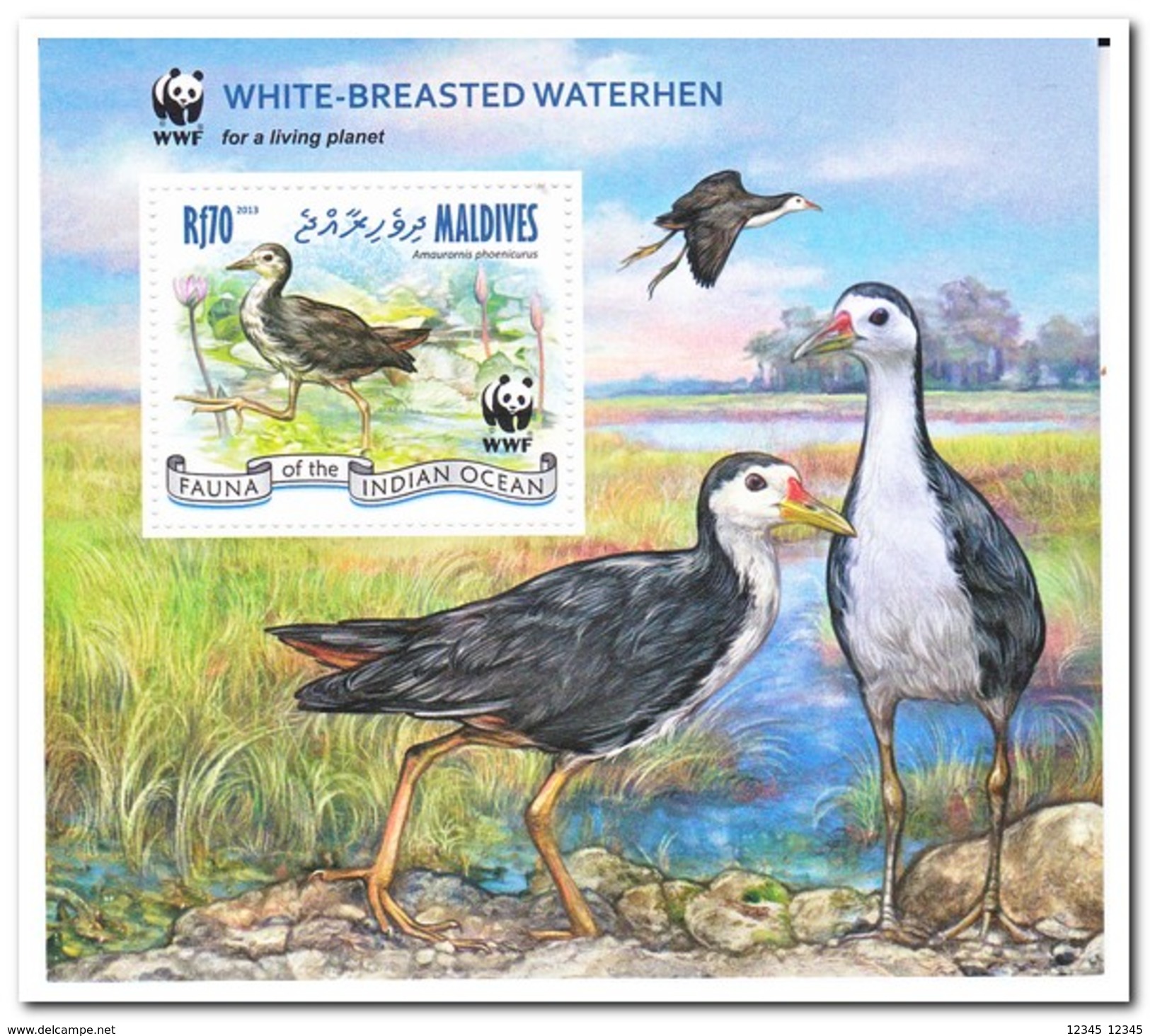 Maldiven 2013, Postfris MNH, WWF - Maldives (1965-...)