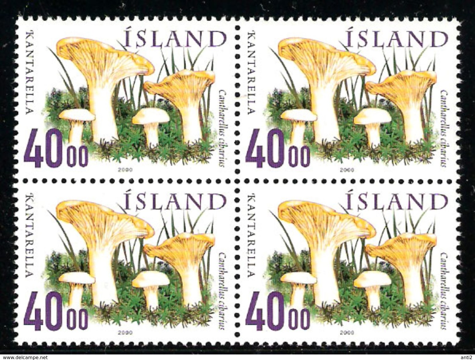 Iceland Island 2000 Mushrooms, Fungus, Cantharellus Cibarius, Chanterelle, Mi 943 In Bloc Of Four, MNH(**) - Nuovi