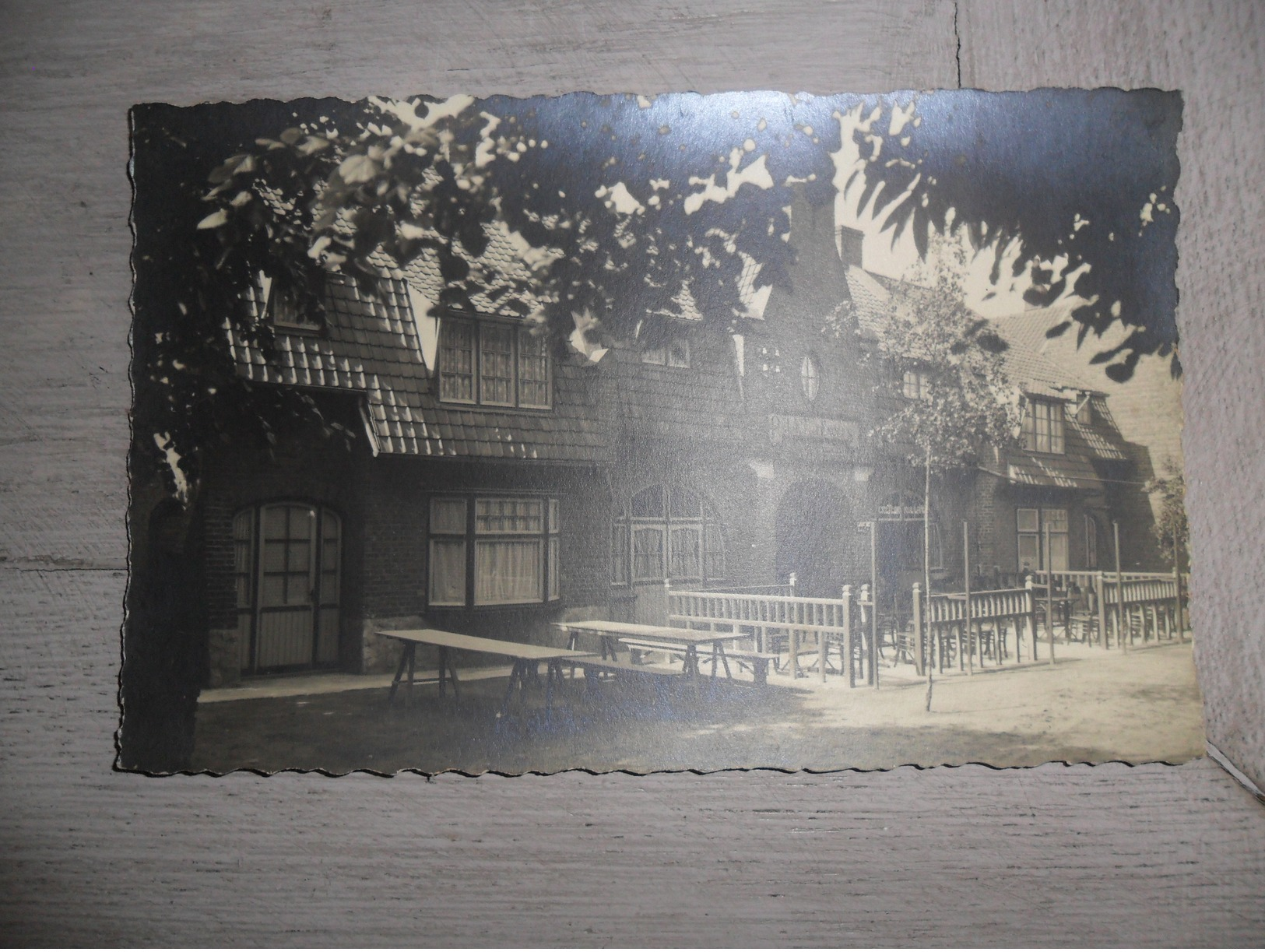 Mont De L' Enclus  Kluisberg  Kluisbergen Orroir  - Carte Photo  Fotokaart Photo D' Art N. Verheyde , Comines - Kluisbergen