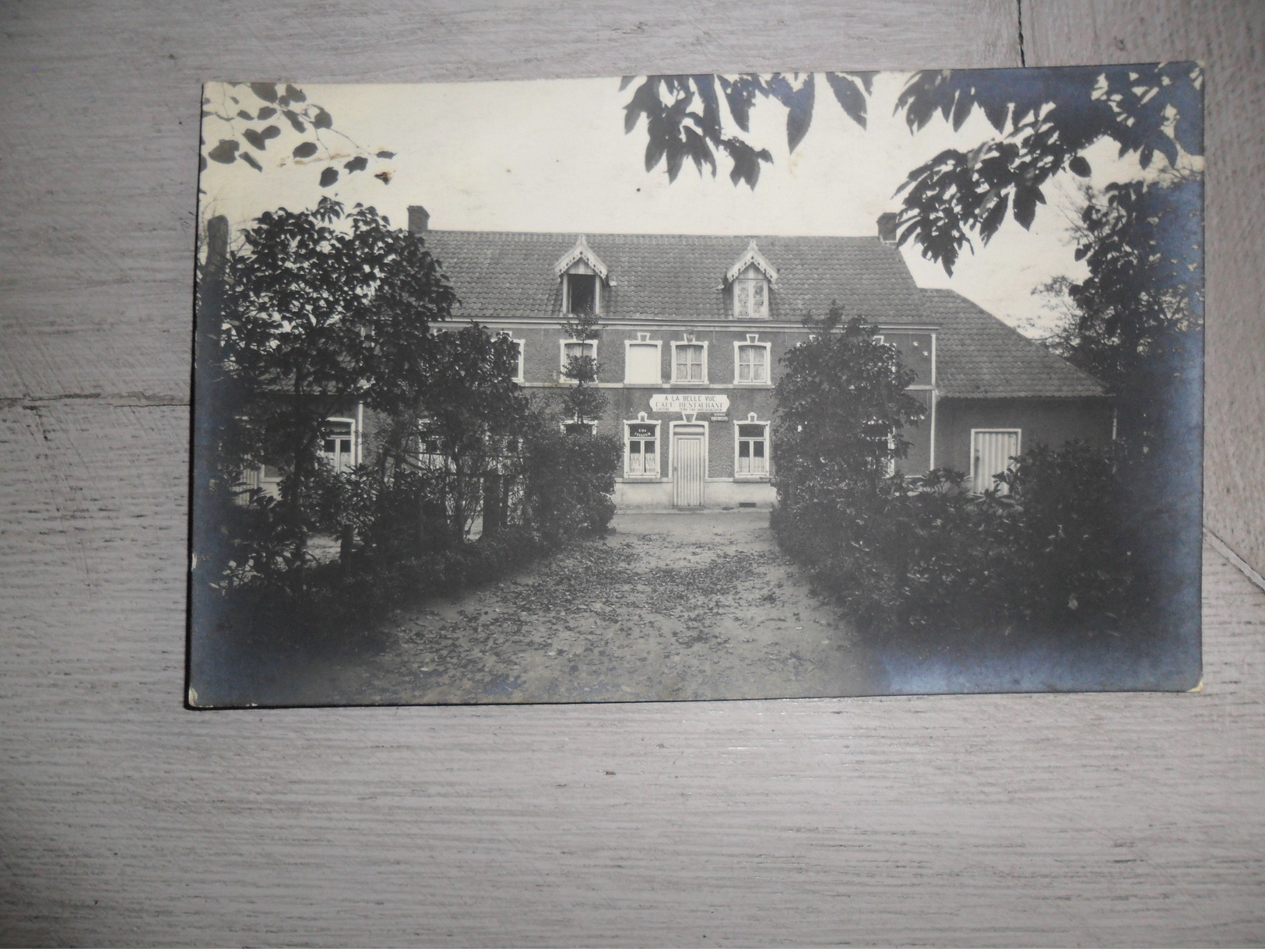 Mont De L' Enclus  Kluisberg  Kluisbergen Orroir  - Carte Photo  Fotokaart - Kluisbergen