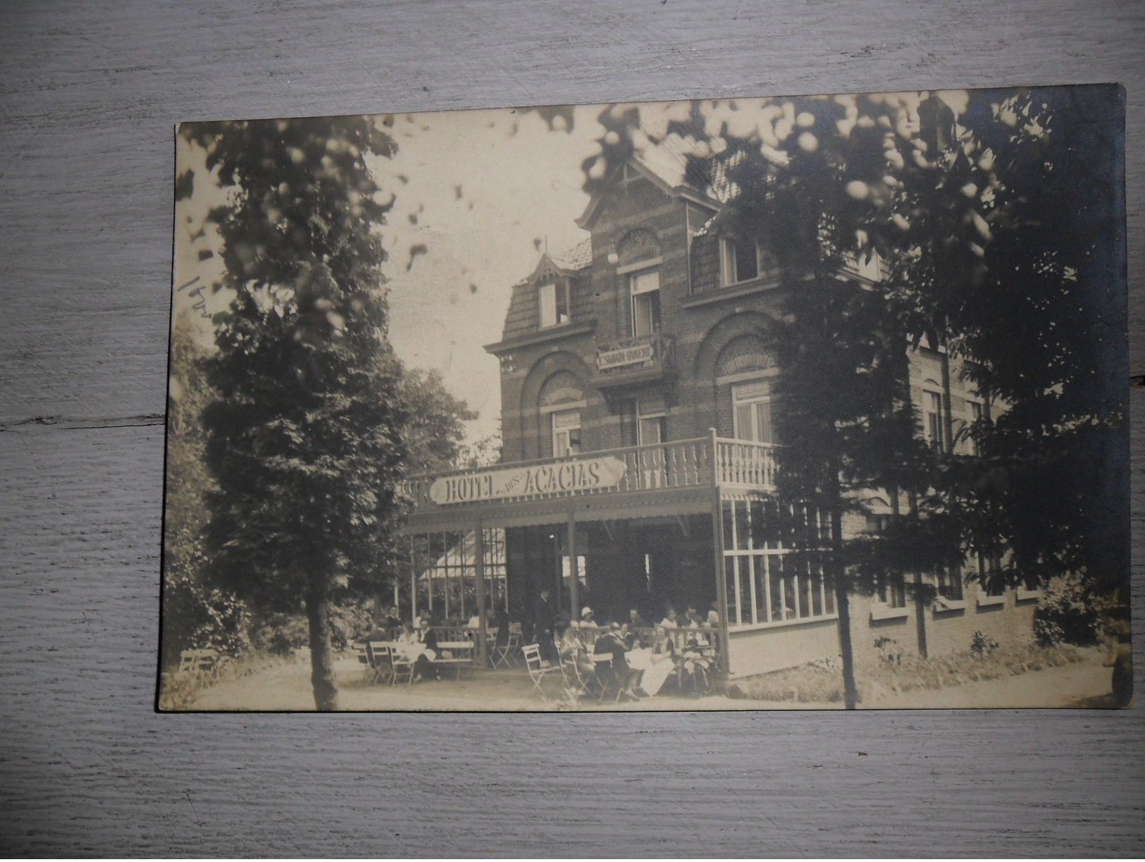 Mont De L' Enclus  Kluisberg  Kluisbergen Orroir  - Carte Photo  Fotokaart - Kluisbergen