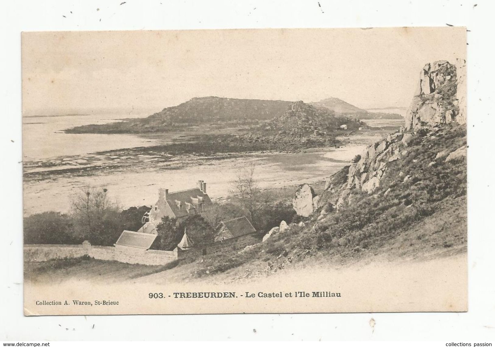 Carte Photo , 22 , TREBEURDEN ,le Castel Et L'ile MILLIAU , Dos Simple , Vierge - Trébeurden