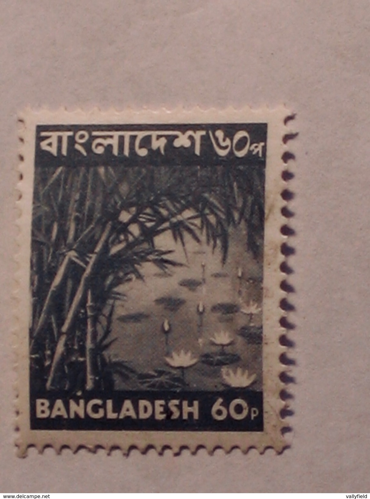 BANGLADESH  1973  Lot # 3  BAMBOO & WATER LILIES - Bangladesh