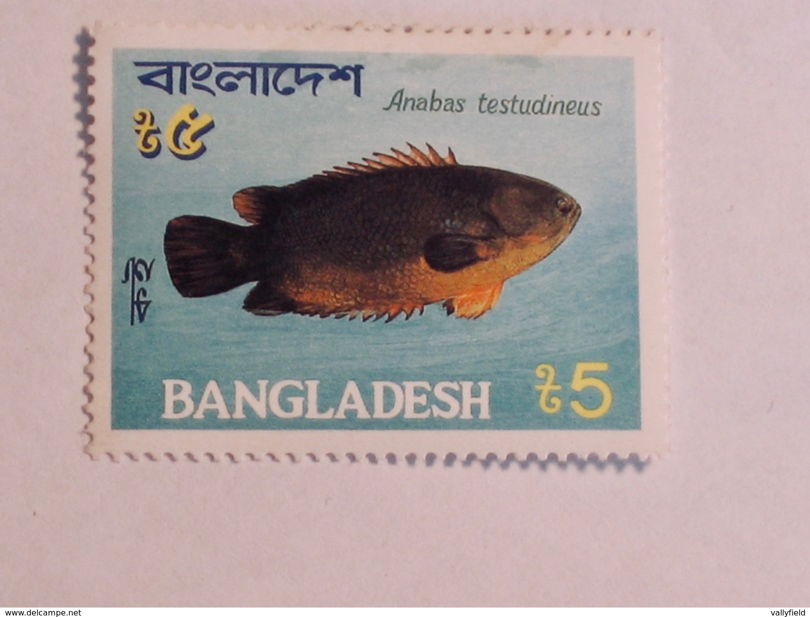 BANGLADESH  1983  Lot # 16   FISH - Bangladesh