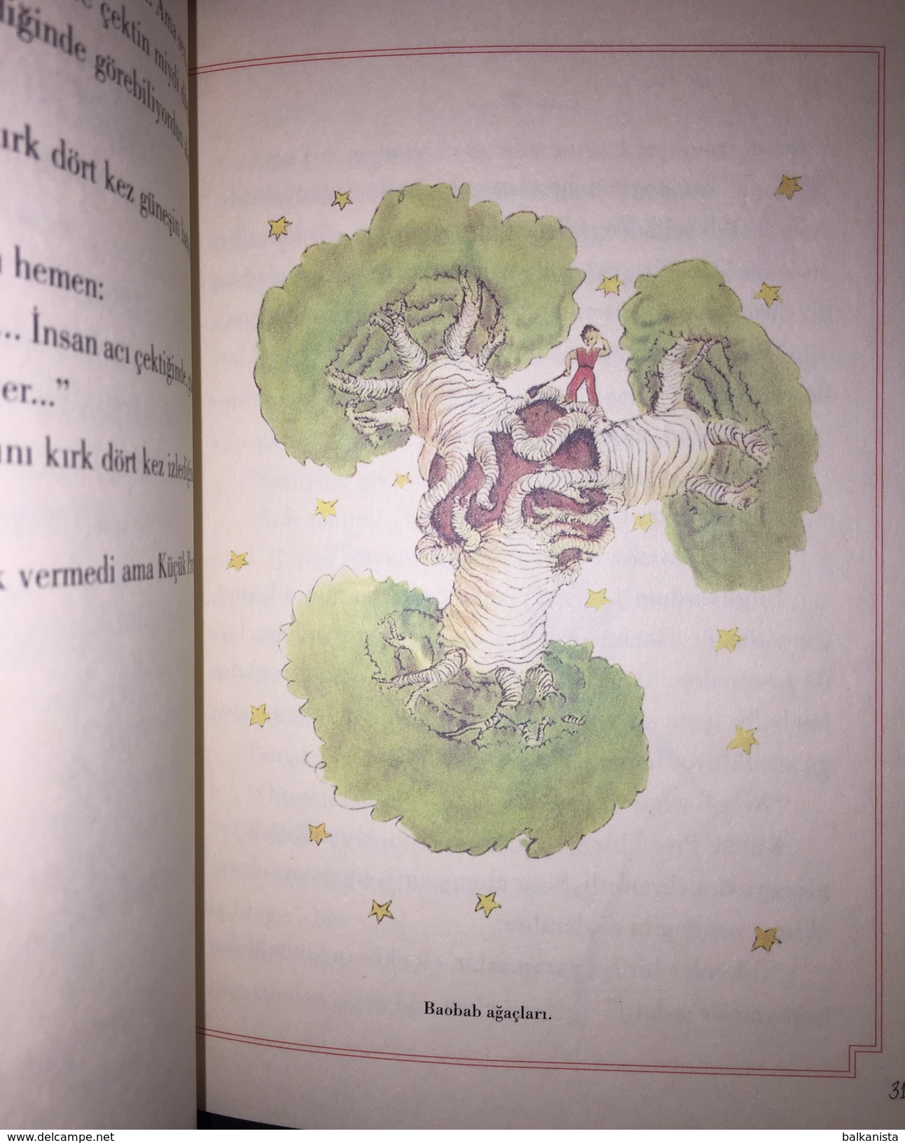 KUCUK PRENS LITTLE PRINCE COLORED Antoine De Saint Exupery TURKISH LANGUAGE Everest - Junior