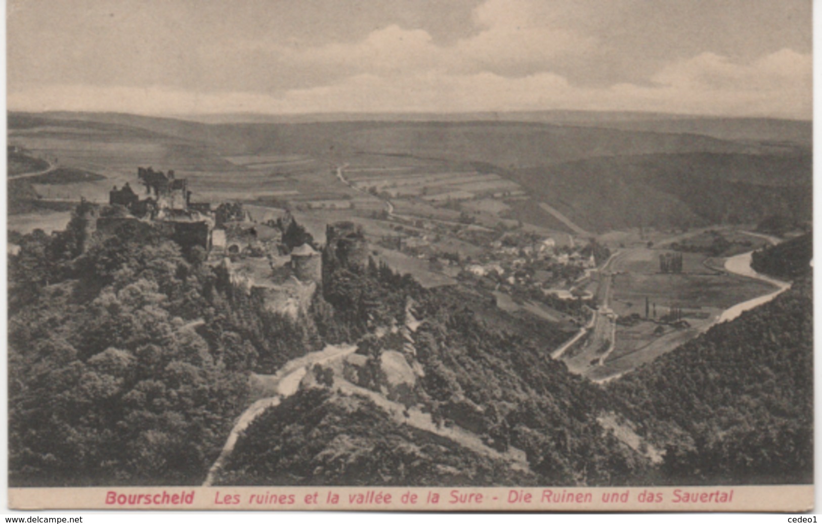 BOURSCHELD  LES RUINES ET LA VALLEE DE LA SURE - Bourscheid