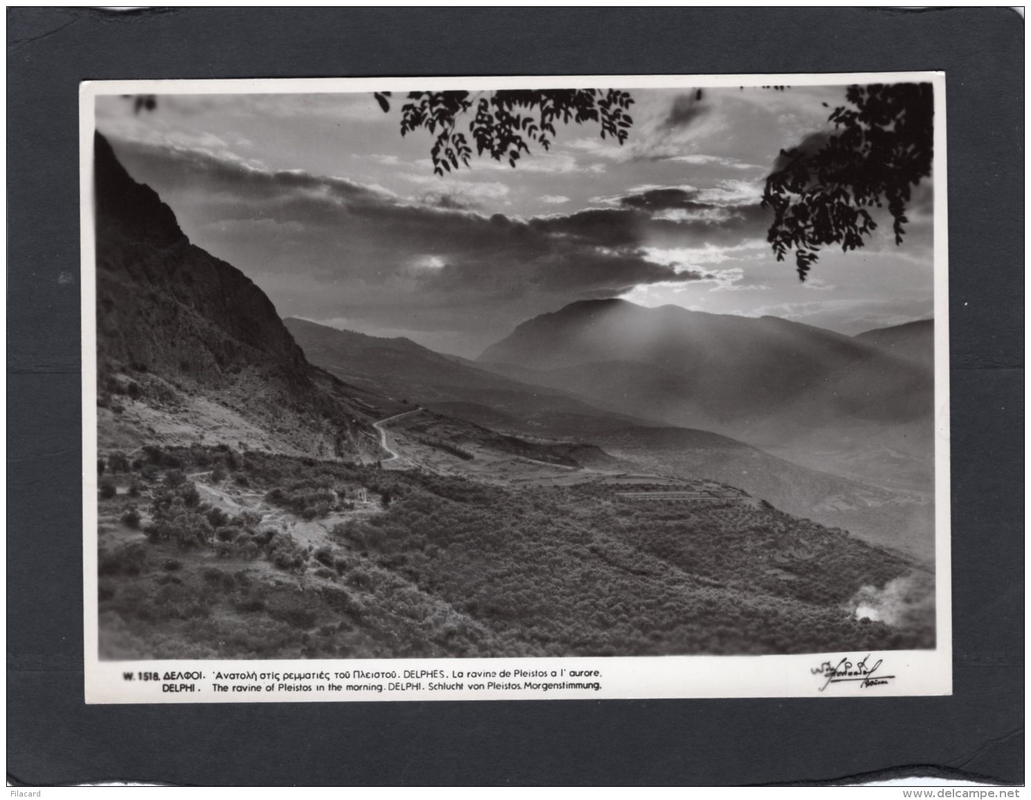 74576   Grecia,  Delphi,  The  Rovine Of Pleistos In The Morning,  NV(scritta) - Greece