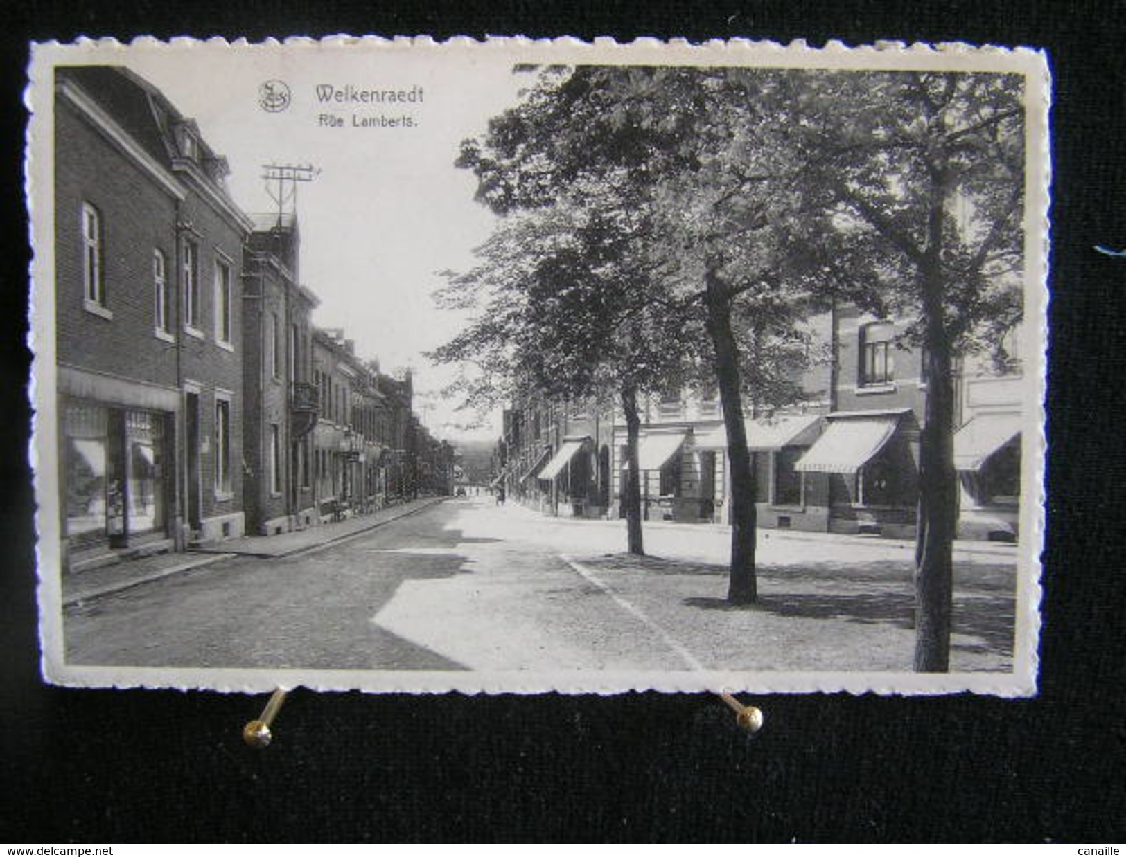 A-175 / Liège - Welkenraedt, Rue Lamberts   /  Circulé  1955 - Welkenraedt