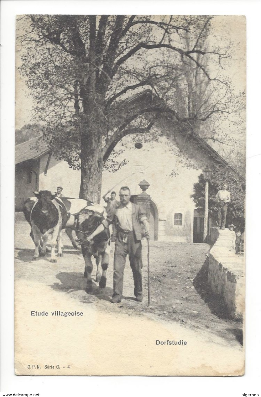 18567 -   Etude Villageoise Dorfstudie Paysans Et Vaches - Dorf