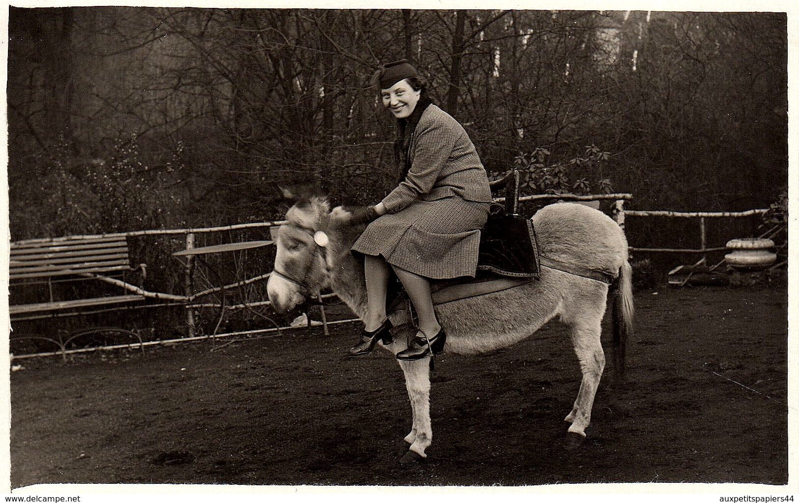 Amusante Carte Photo Originale Bourgeoise En Amazone Sur Un Âne En 1937 Comme L'entrée De Jésus à Jérusalem - Sport