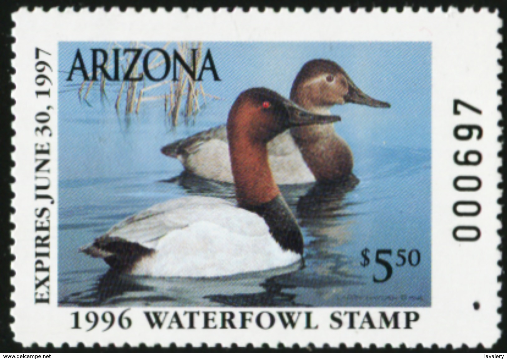 ARIZONA 1996 USA State Ducks Birds Hunting Wildlife Fauna MNH - Unused Stamps